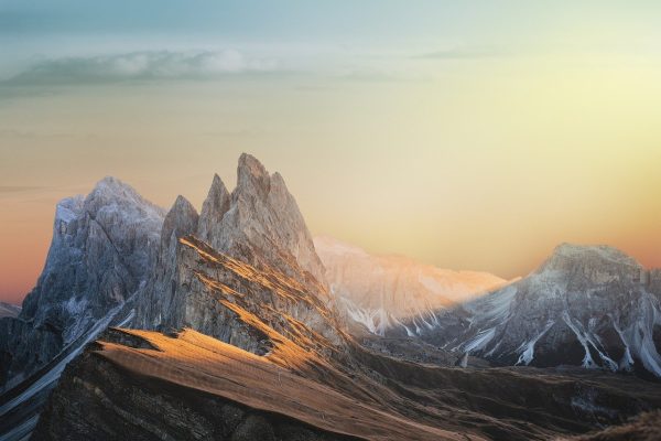 ⁦باقة ذات رقم محدود⁩ - الصورة ⁦5⁩